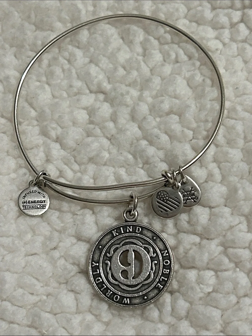 Alex and Ani Silver-Tone 'Kind Noble Worldly' Charm Bangle